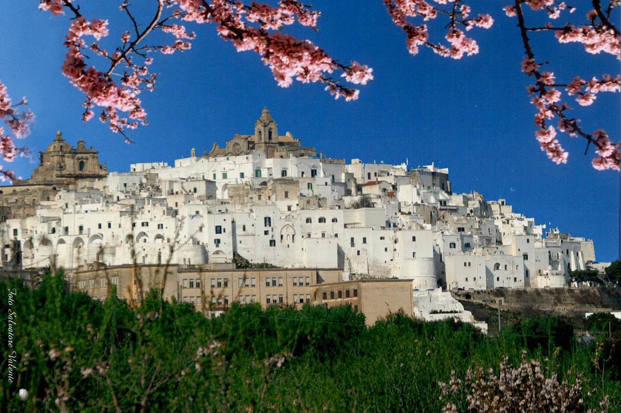 Vila Casa Carlotta Ostuni Exteriér fotografie